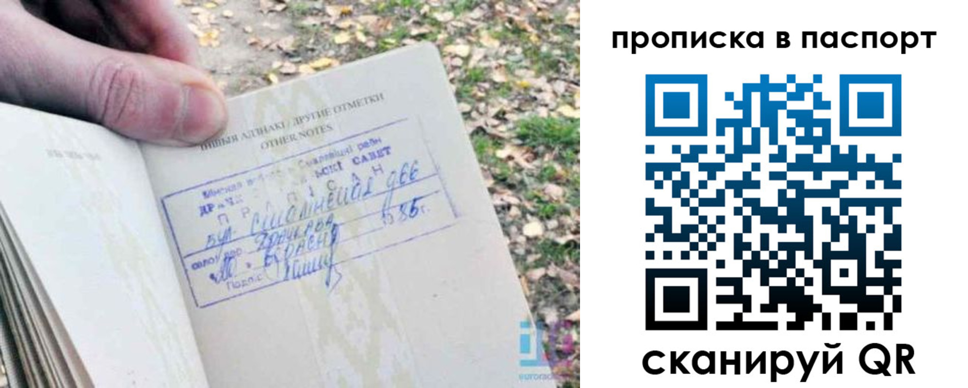купить прописку в Астраханской области